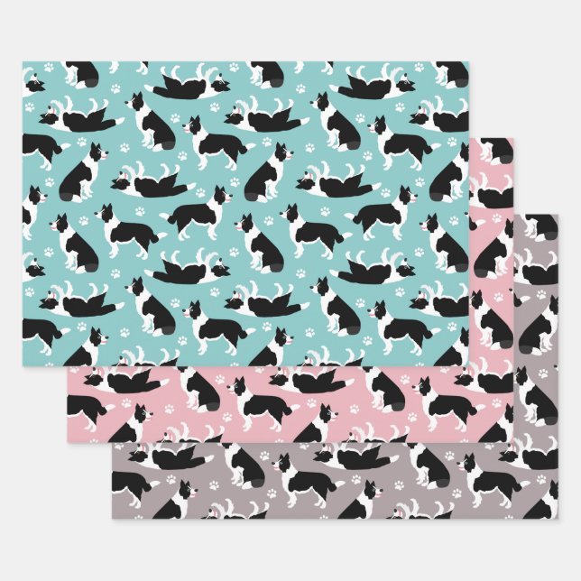 Feuille De Papier Cadeau Bordure Collie et Empreinte de patte (Lot)