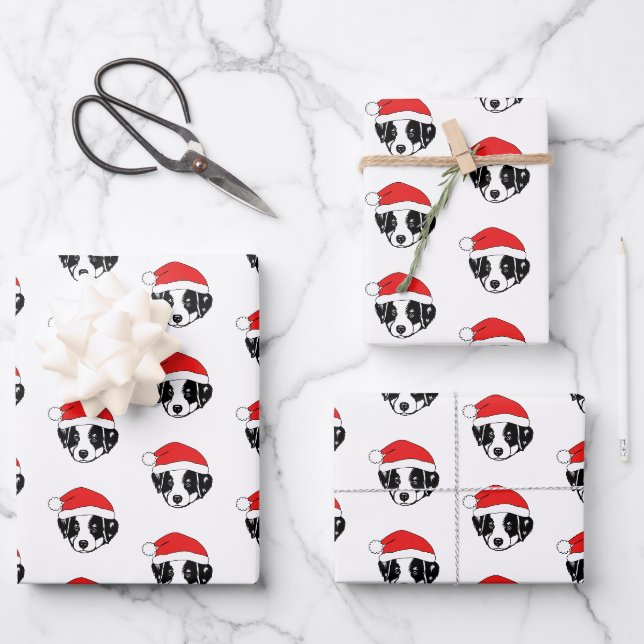 Feuille De Papier Cadeau Bordure Collie Puppy Santa Hat (Recto)