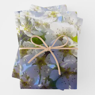 Feuille De Papier Cadeau Branche florissante d'une poire