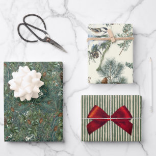 Feuille De Papier Cadeau Branches À feuillage persistant de Noël Pinecone B