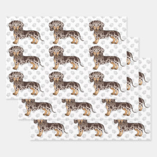 Feuille De Papier Cadeau Brown & Tan Dapper Cheveux courts Motif Dachshund