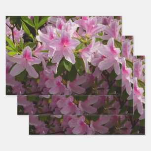 Feuille De Papier Cadeau Buisson d'azalée rose floral printanier