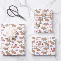 Capybara Anniversaire Enfants Personnalisé Blanc