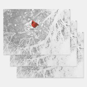 Feuille De Papier Cadeau Cardinal en hiver