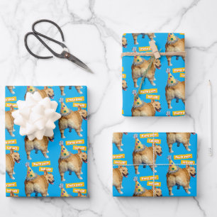 Feuille De Papier Cadeau Chapeau d'anniversaire Corgi Butt