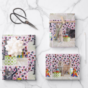 Feuille De Papier Cadeau Chatons ! (chats) L'anniversaire de Buffington et 