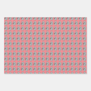 Feuille De Papier Cadeau Chemins, couleur rose,