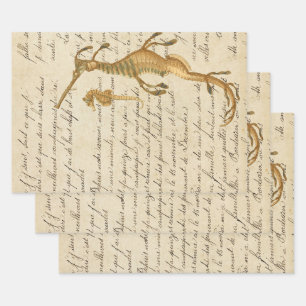 Feuille De Papier Cadeau Cheval de mer vintage et script