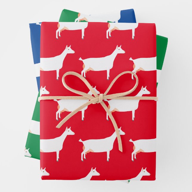 Feuille De Papier Cadeau Chèvre laitière Saanen blanche (En situation)