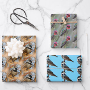 Feuille De Papier Cadeau Chickadee / Anna's Hummingbird / Hirondelle d'arbr