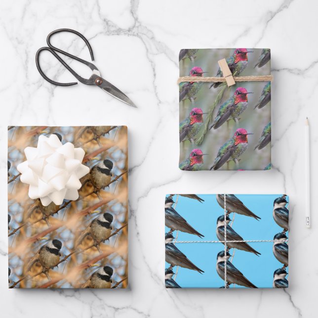 Feuille De Papier Cadeau Chickadee / Anna's Hummingbird / Hirondelle d'arbr (Recto)