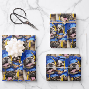 Feuille De Papier Cadeau Chiens et chats diplômés en photomaton
