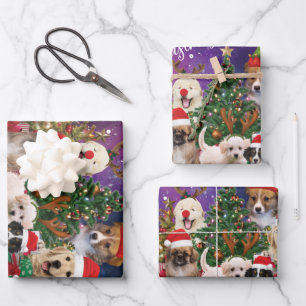 Feuille De Papier Cadeau Chiens Joyeux Noël Lumière