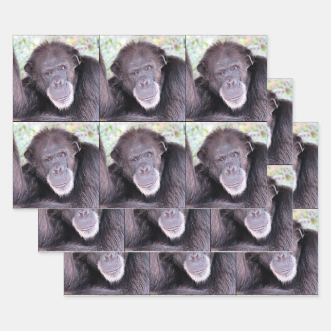 Feuille De Papier Cadeau Chimpanzé toutes les occasions (Lot)
