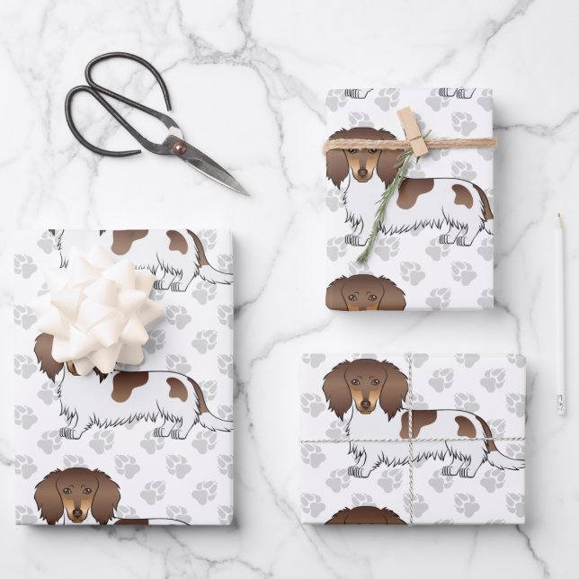 Feuille De Papier Cadeau Chocolat & Tan Piebald Cheveux longs Dachshund & P (Recto)
