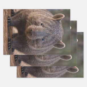 Feuille De Papier Cadeau Chubby The Australian Wombat,