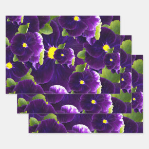 Feuille De Papier Cadeau Clusters de Pansy Profond Violet : Beauté majestue