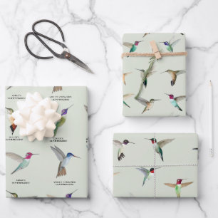 Feuille De Papier Cadeau Colibri nord-américain