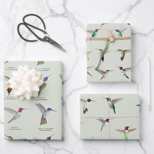Feuille De Papier Cadeau Colibri nord-américain (Recto)