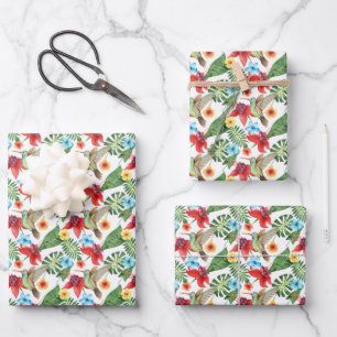 Feuille De Papier Cadeau Colibri tropical