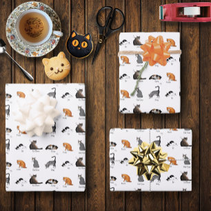 Feuille De Papier Cadeau Commandes Cat