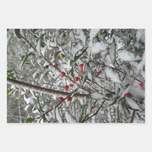 Feuille De Papier Cadeau Congelé