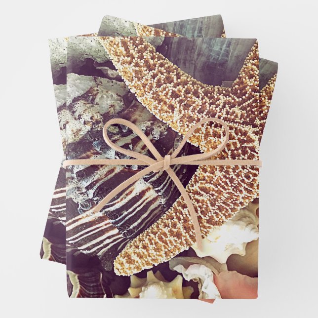 Feuille De Papier Cadeau Coques de plage (En situation)