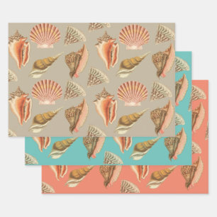 Feuille De Papier Cadeau coquillages style artistique vintage
