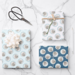 Feuille De Papier Cadeau Coton de Tulear Peinture mignonne Original Animal 