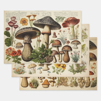 Feuille De Papier Cadeau Cottagecore de champignons vintages