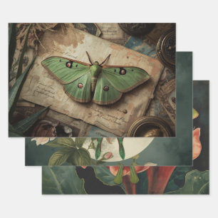 Feuille De Papier Cadeau Cottagecore Lune Papillon de Moth Gothique Papillo