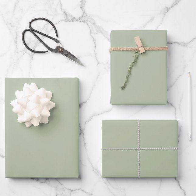 Feuille De Papier Cadeau Couleur claire et verte (Recto)