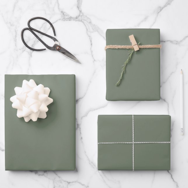 Feuille De Papier Cadeau Couleur de tendance gris verdâtre coupé (Recto)