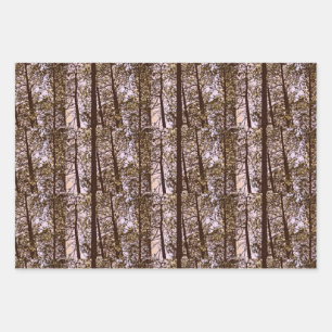 Feuille De Papier Cadeau Couleur par les arbres