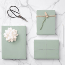 Couleur uni minimaliste verte Sage