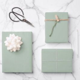 Feuille De Papier Cadeau Couleur uni minimaliste verte Sage