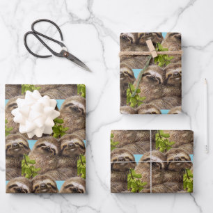 Feuille De Papier Cadeau Couple de paresseux