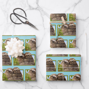 Feuille De Papier Cadeau Couple de paresseux
