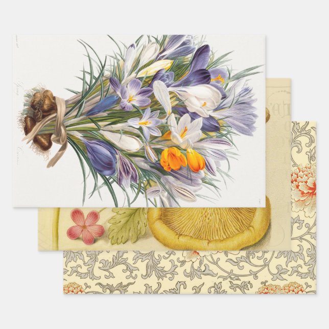 Feuille De Papier Cadeau Crocus Spring Flower Botanique Floral Art (Lot)