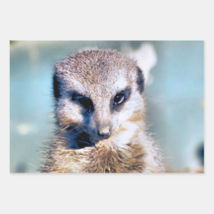 FEUILLE DE PAPIER CADEAU CUTE MEERKAT