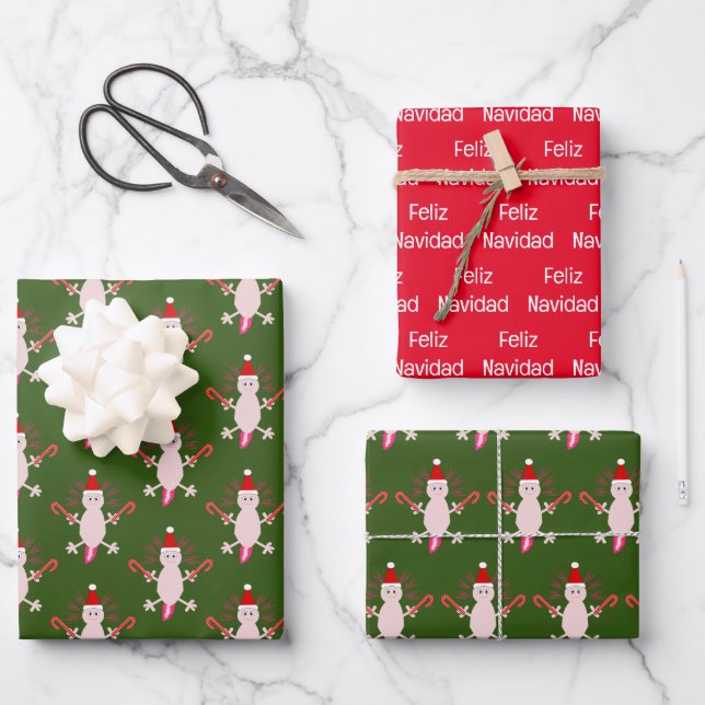 Feuille De Papier Cadeau Cute Noël Axolotl Custom (Recto)