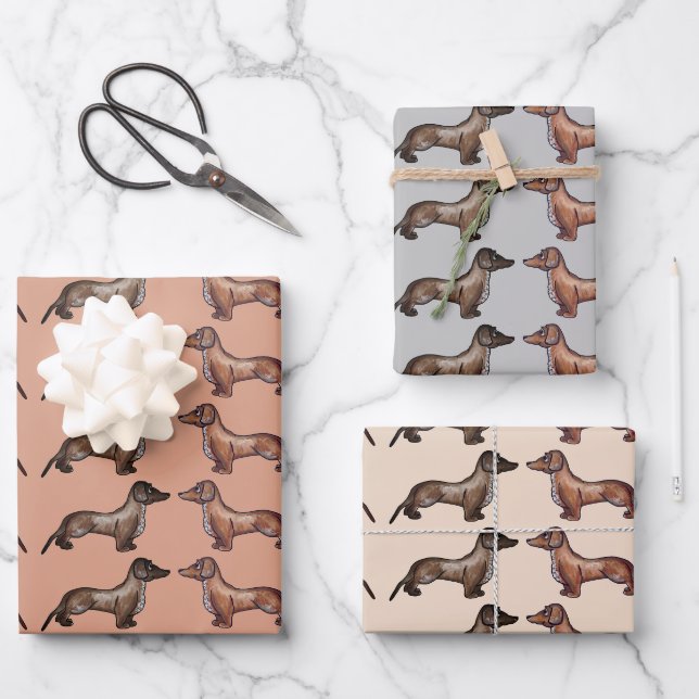 Feuille De Papier Cadeau Dachshund, chien de saucisse (Recto)