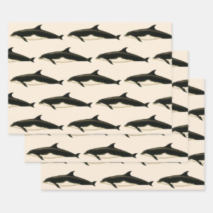 Feuille De Papier Cadeau Dauphins Delphinus Tursio, Animaux Marins Vintage