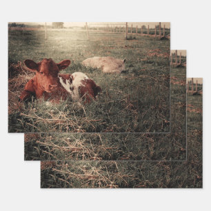 Feuille De Papier Cadeau Découpage de la vache rustique de la ferme rustiqu