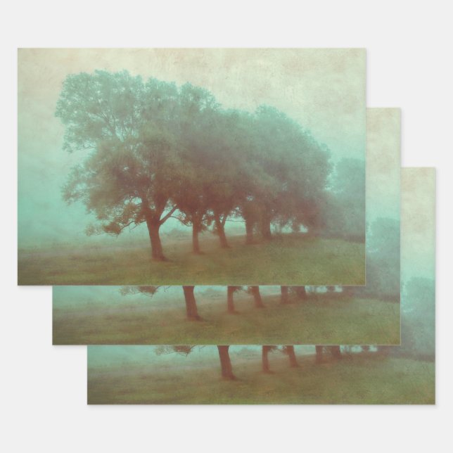 Feuille De Papier Cadeau Découpage du paysage de la texture Turquoise Vinta (Lot)