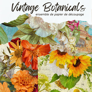 Feuille De Papier Cadeau Découpage vintage de fleurs végétales