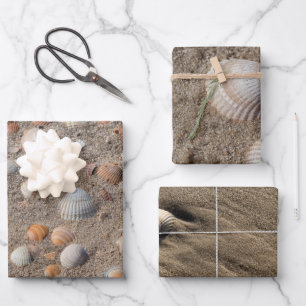 Feuille De Papier Cadeau Différentes photos de coquilles de mer