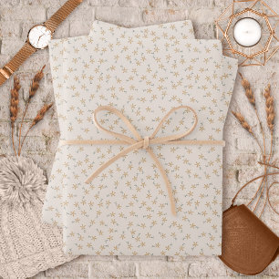 Feuille De Papier Cadeau Ditsy Floral - Terrain rustique sur ciment blanc