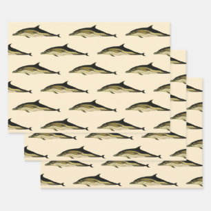 Feuille De Papier Cadeau Dolphin Delphinus Delphis, Mammifères marins Vinta