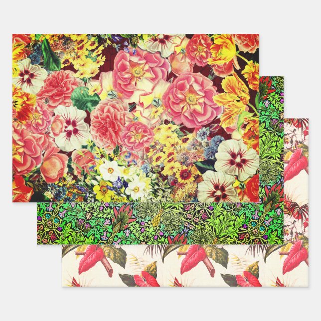 Feuille De Papier Cadeau Échantillon botanique floral d'Hollywood (Lot)